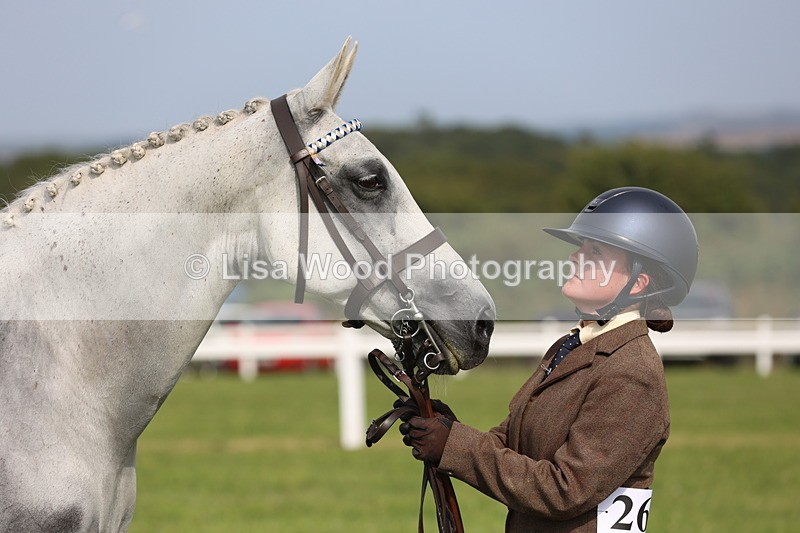 JPP_4302 - Class 25: Working Show Horse