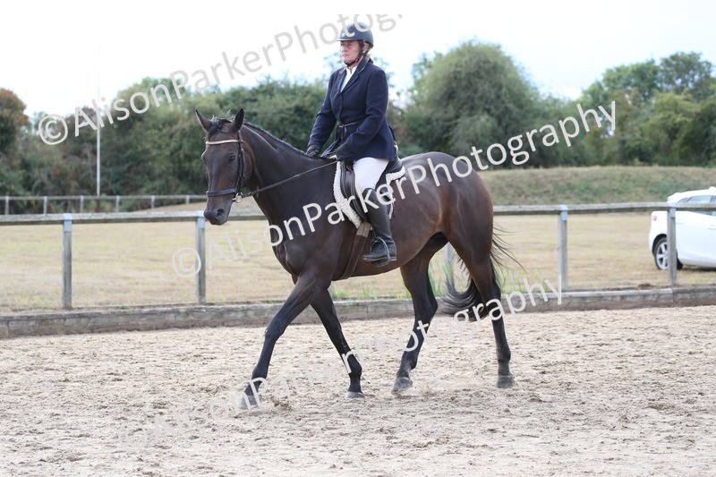 20260831-2636 - Class 15 - Ridden Retraining of Racehorses