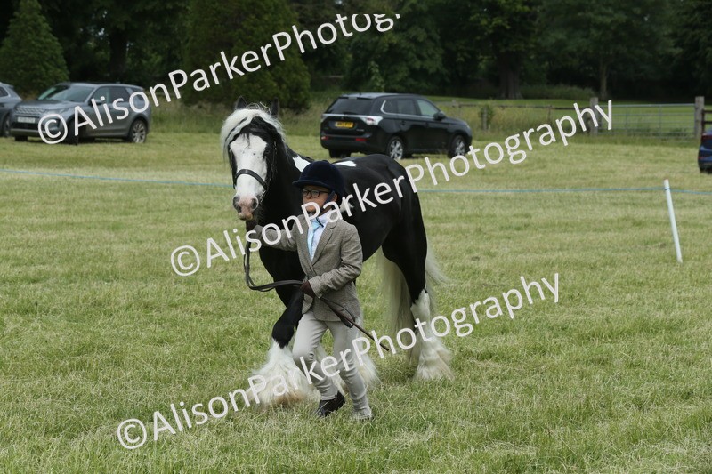 20260614-4275 - Class 18 - Best Junior Handler