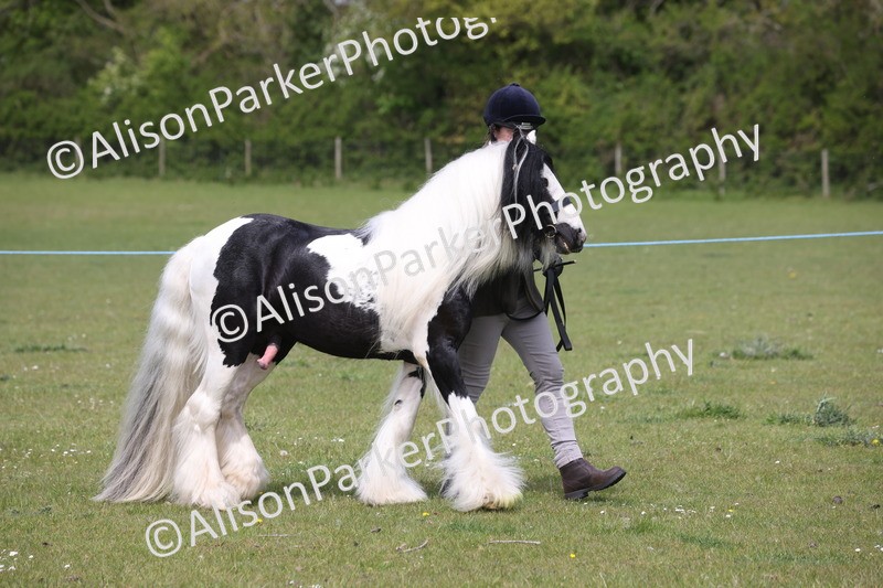 20260426-3357 - Class 27 - Coloured Horses and Ponies
