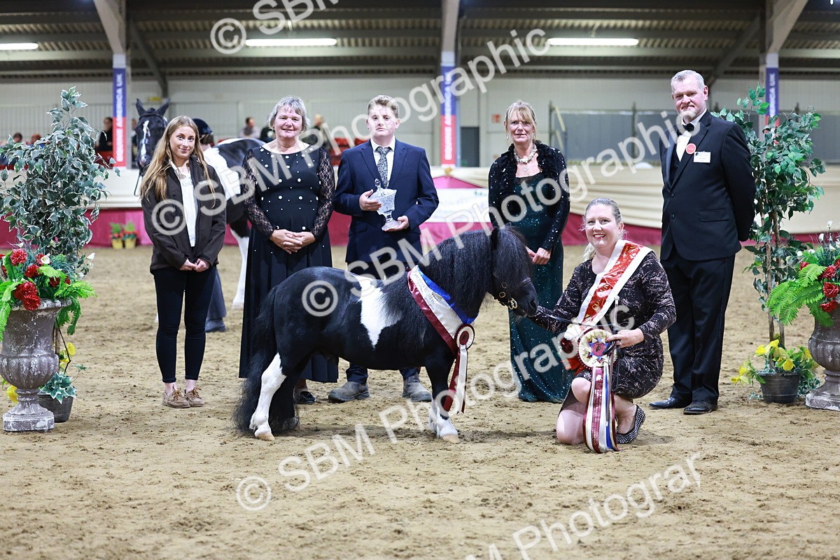 SBM_20866 - Class L - Coloured Champ