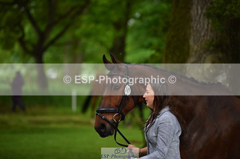 240522-153638-00474 - 381-MADFORD_LAW-Anna_Johannson