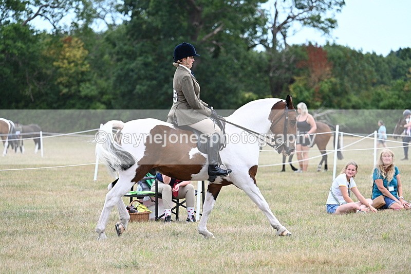 WJ7_4901 - Class 12 Ridden Cob