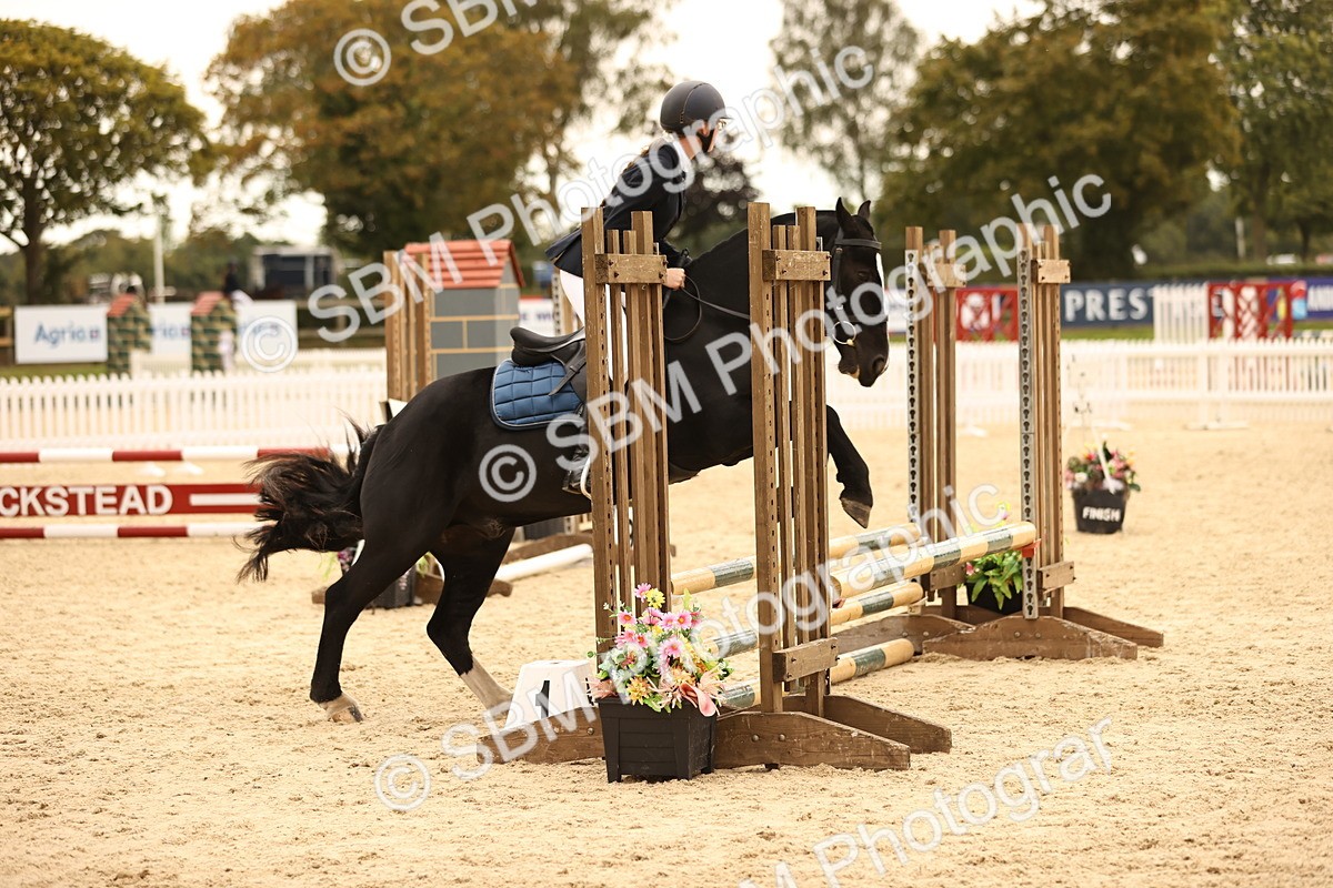 SBM_72674 - J14 - Junior Pony 65cm Championship