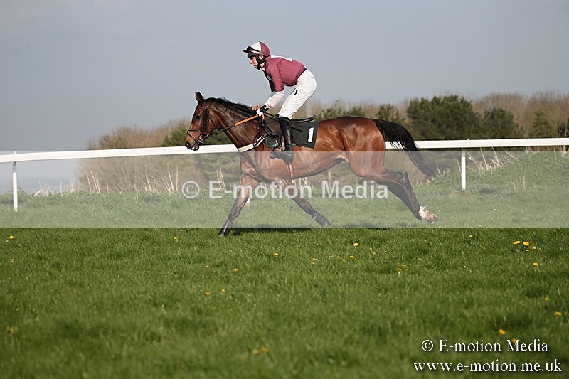 PtP 210418 579 - South & West Wilts Point-to-Point Larkhill 21/04/18
