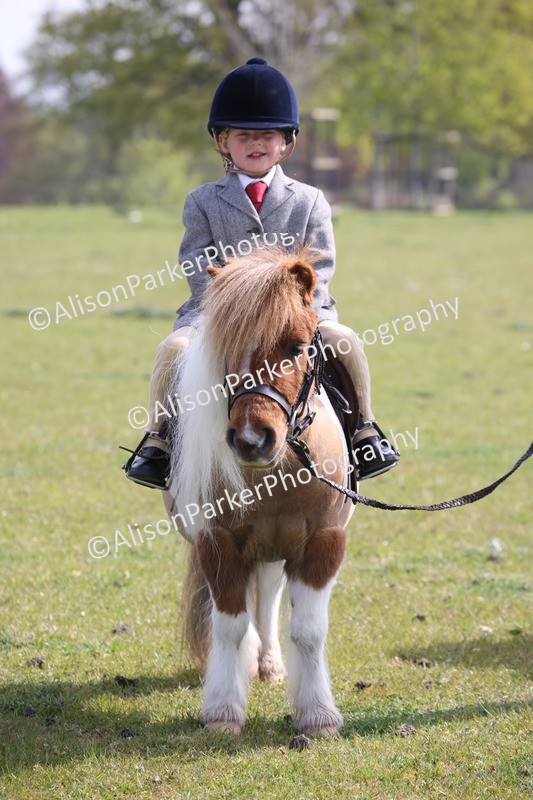 20260426-0387 - Class 30 - Tiny Tots Lead Rein