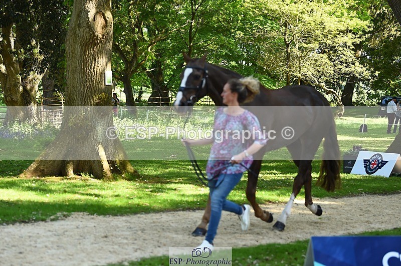 230524-154342-00461 - 376-DIRECT_BALLYTARSNA_DUCAREL-Jodie_Amos-WEDTrotUp+DR