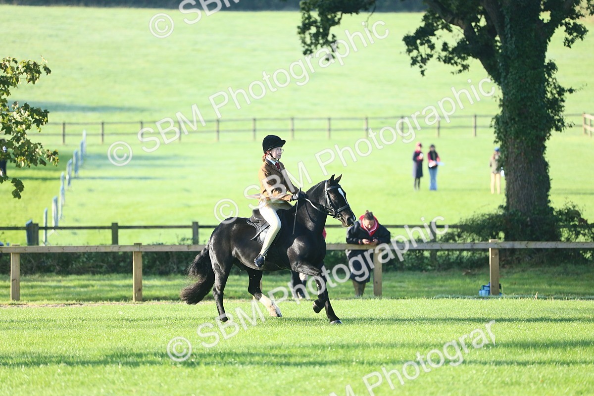 SBM_37342 - S29 - Novice & Newcomers Working Hunter Pony