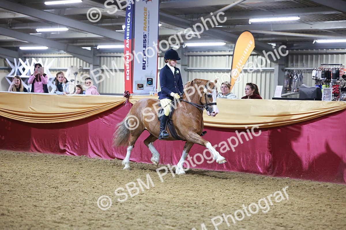 SBM_15246 - Class P - M&M Champ