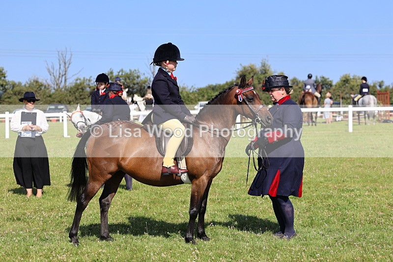 IMG_1749 - Class 31: Lead Rein SP/SHP