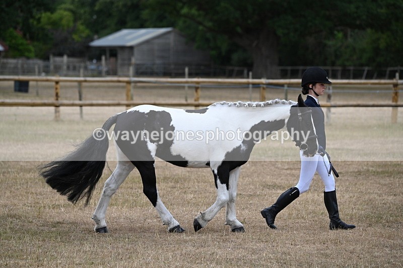 WJ6_7869 - Class 10 Coloured in Hand