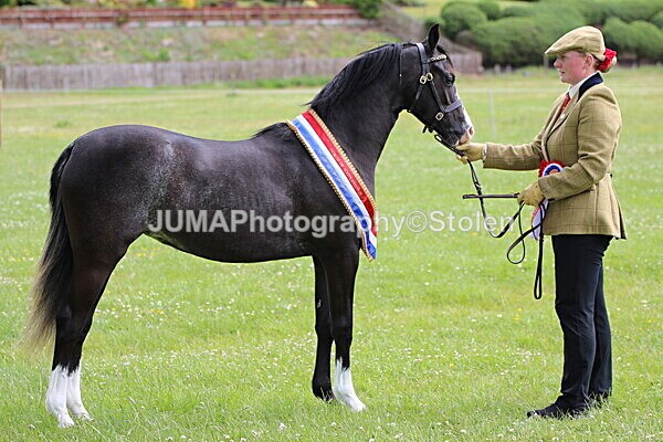 SIAL7505 - Ring 1