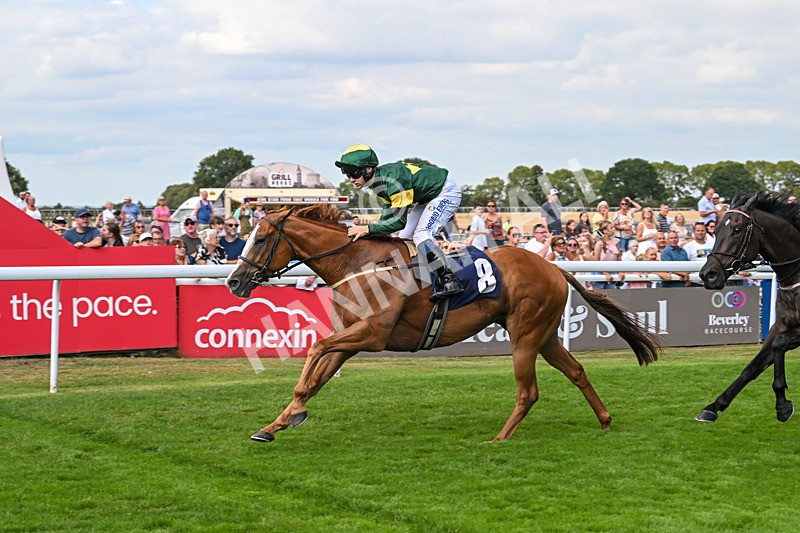 130825-Race 4-Rock Of England-1255 - Race 4