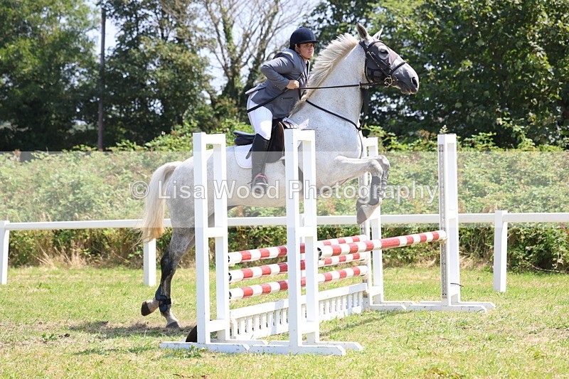 3E7A2900 - Class 7: Senior British Novice/90cm open