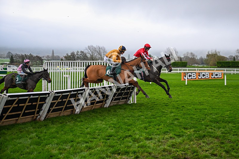 151125-Race 5-Kikijo-3933 - Race 5
