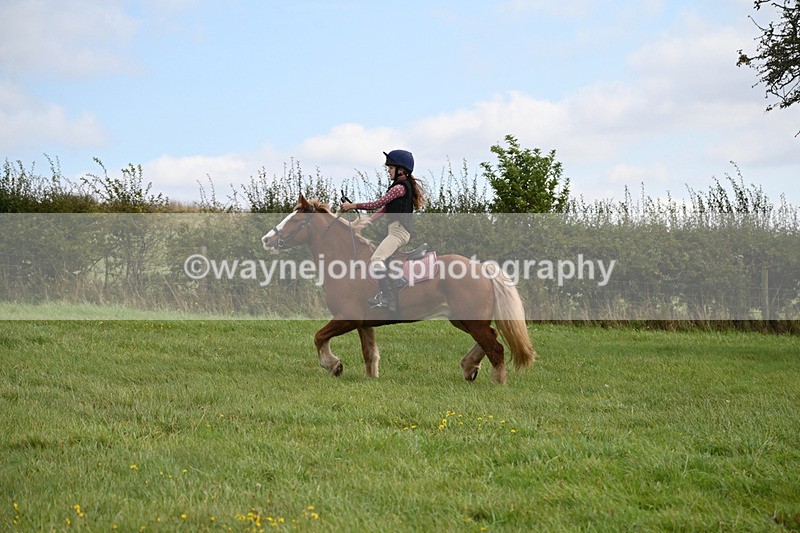 WJ6_7825 - Time 11:45 to 11:58