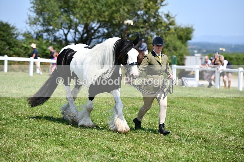 DSC_7755 - Class 64: Coloured Pony 4yrs & over