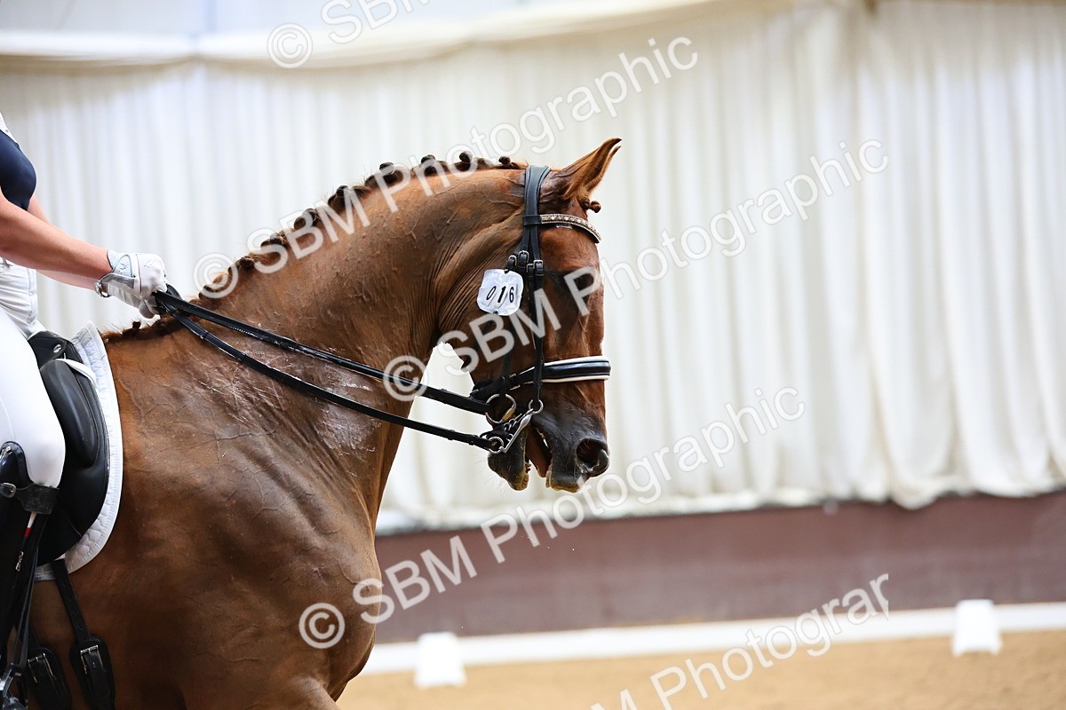 SBM_020269 - Class 7 - M4