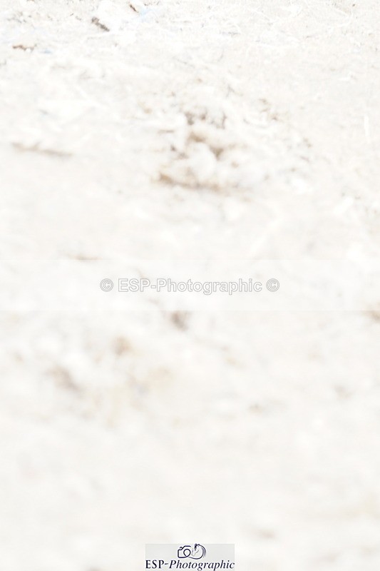 250420A-144308-01176 - Cls 05 1.00m