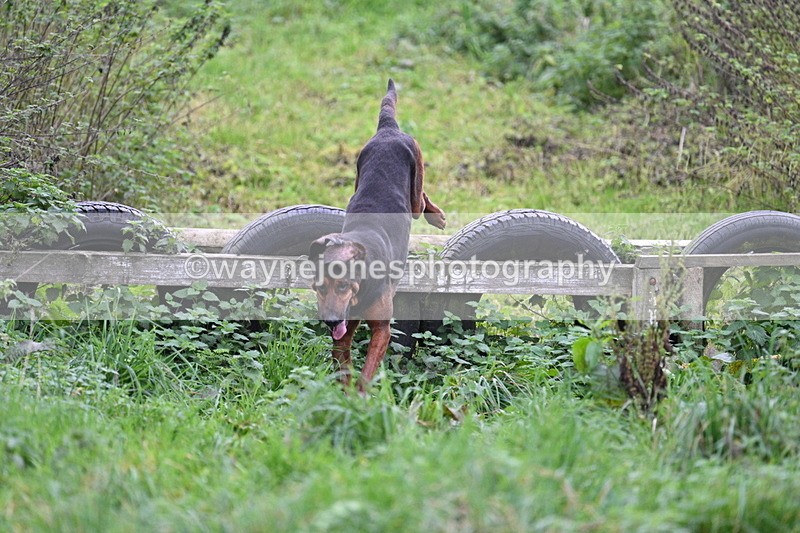 WJ7_8969 - Camera 1 only on this line