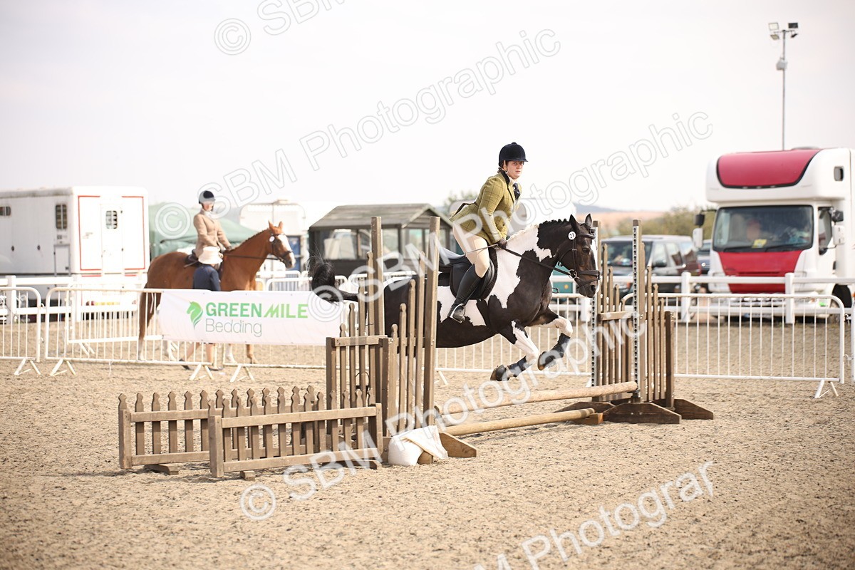 SBM_13601 - Class 406b - Working Veteran 50cm (20+)