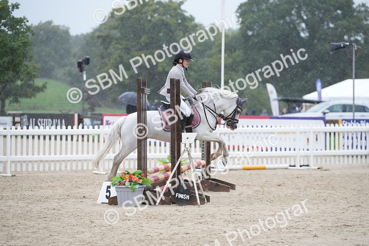 SBM_36133 - J5 - Junior Pony 50cm Championship