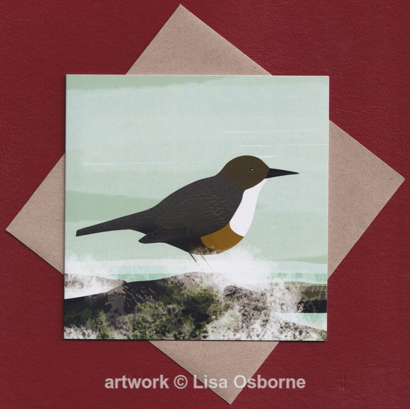 Dipper greetings card - Cards