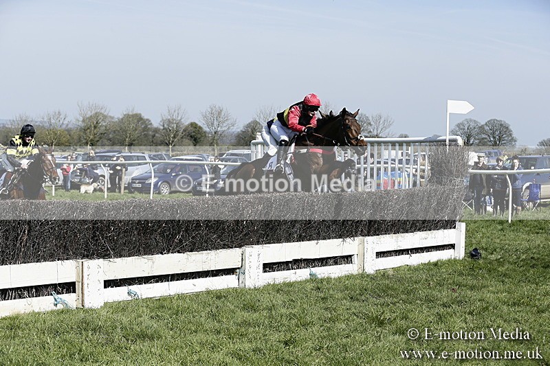 PtP 260317 90 - Mendip Farmers Point-to-Point Ston Easton 26/03/17