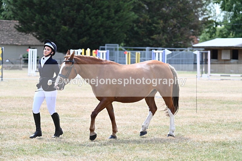 WJ7_1974 - Class 4a Prettiest Mare 14.2hh and over hand