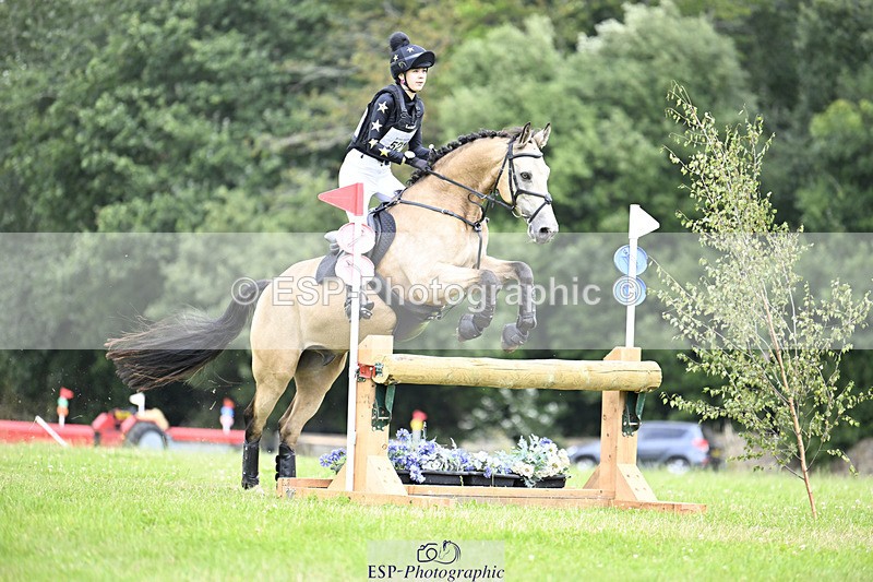 240804-134730-15290 - 521-Lily_Howell-WOODFIELD_GOLD