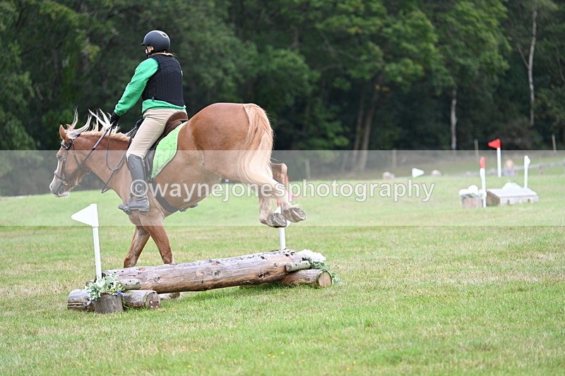 WJ7_7833 - 40cm Time 10:49 to 11:18