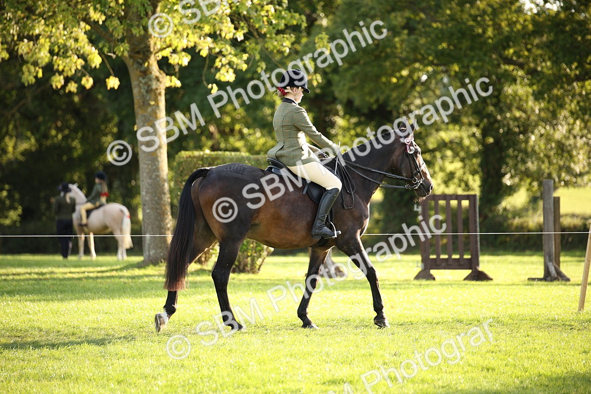 SBM_54369 - S27 - Mature Veteran - Ridden