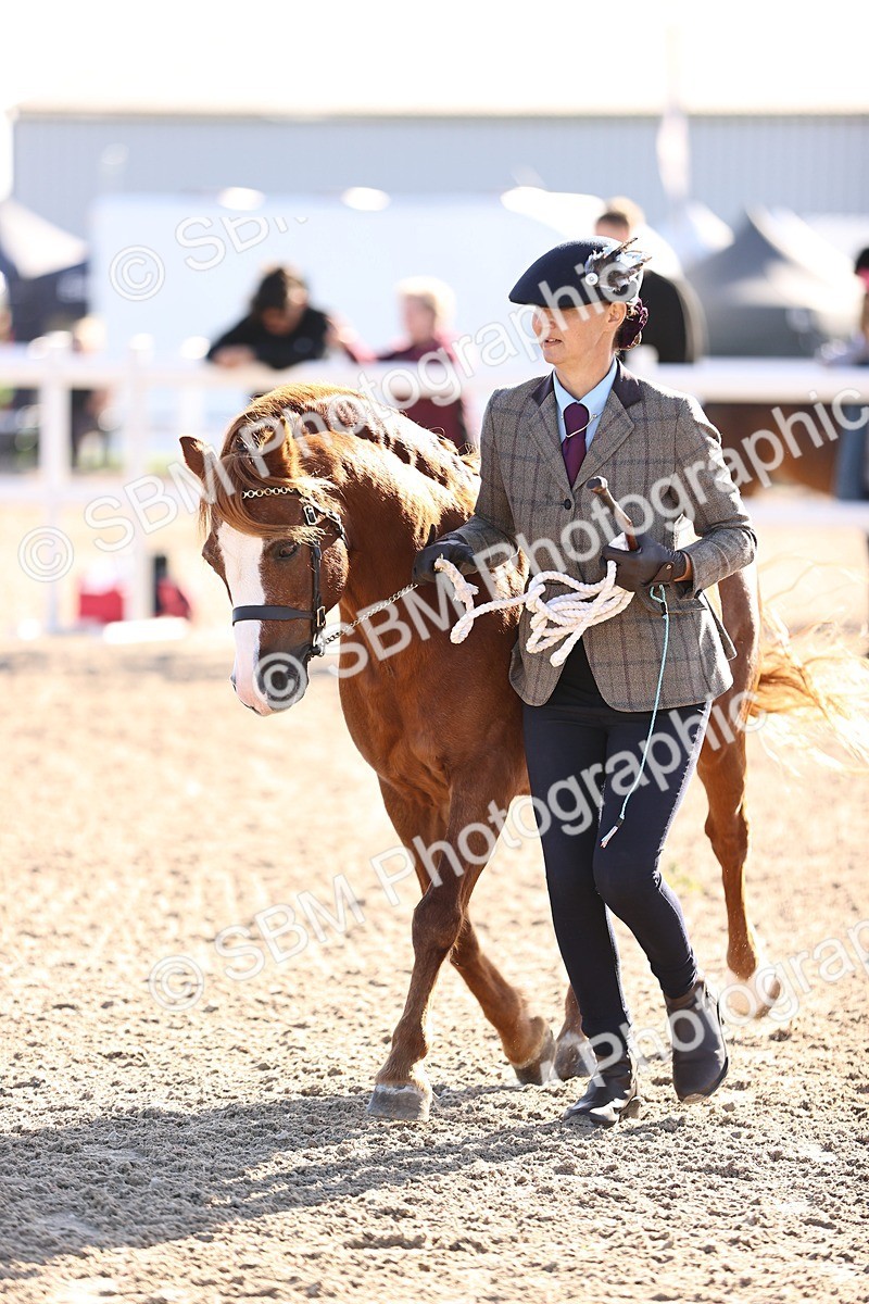 SBM_08486 - Class 402 - IH Veteran Pony