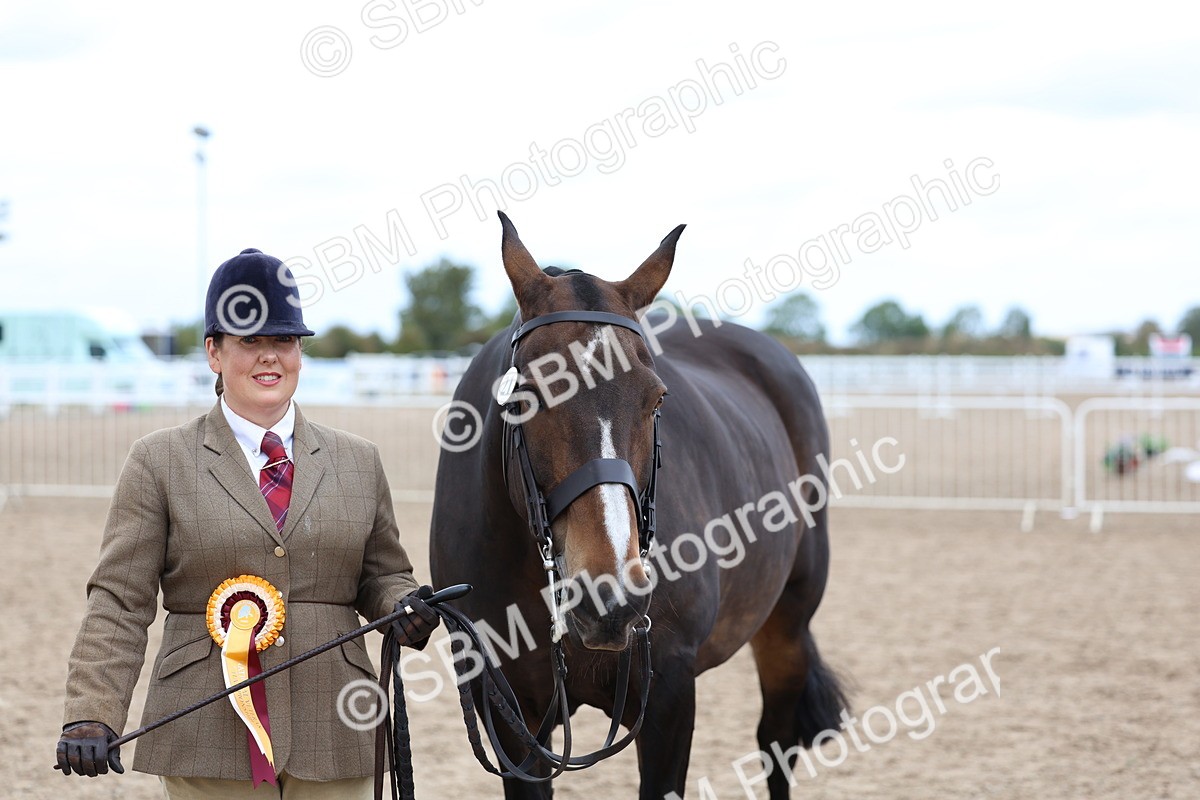 SBM_05796 - Class 28 - IH Veteran Horse