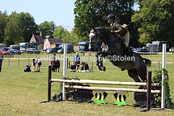 IMG_4618 - Working Hunter