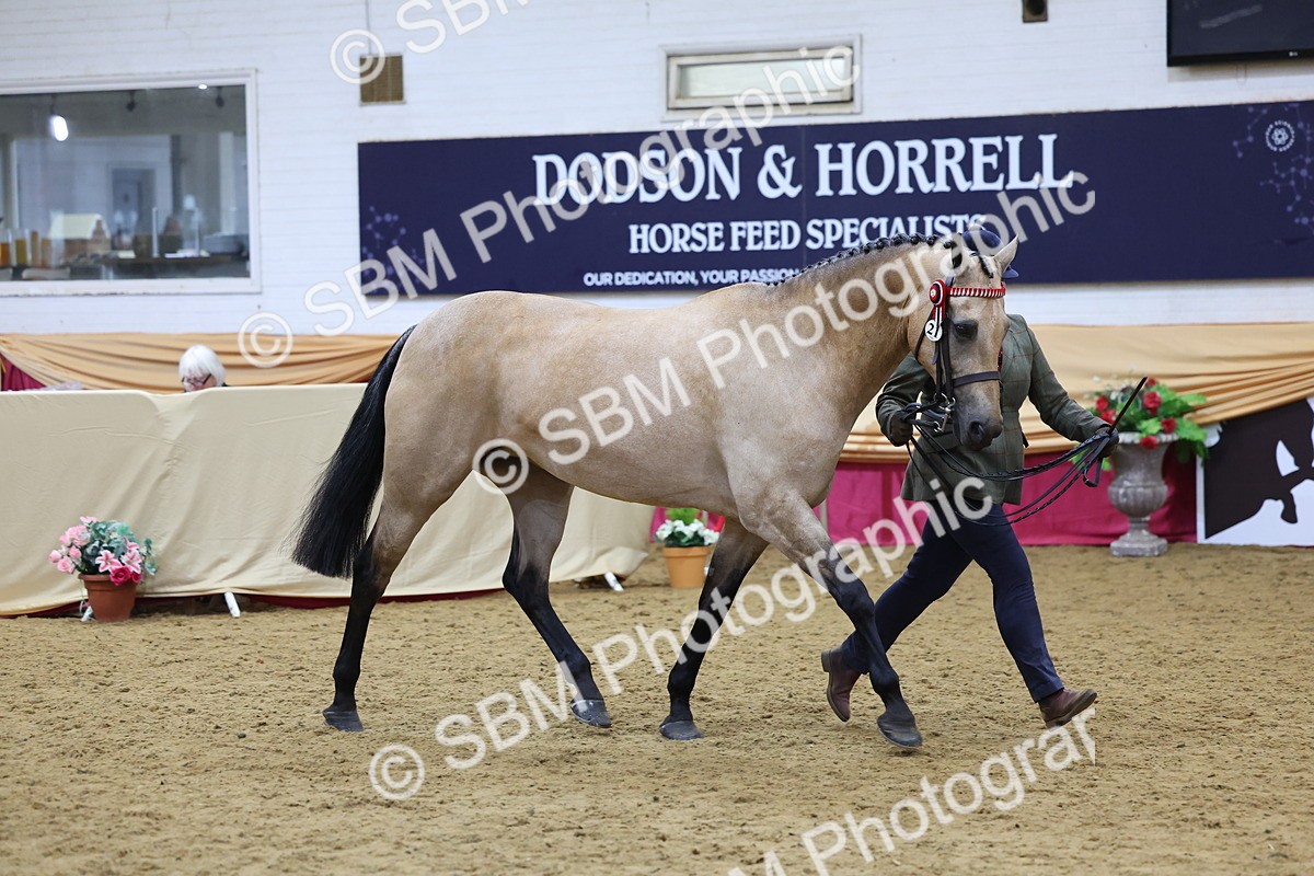 SBM_20891 - Class 902 - Supreme Final IH Veteran
