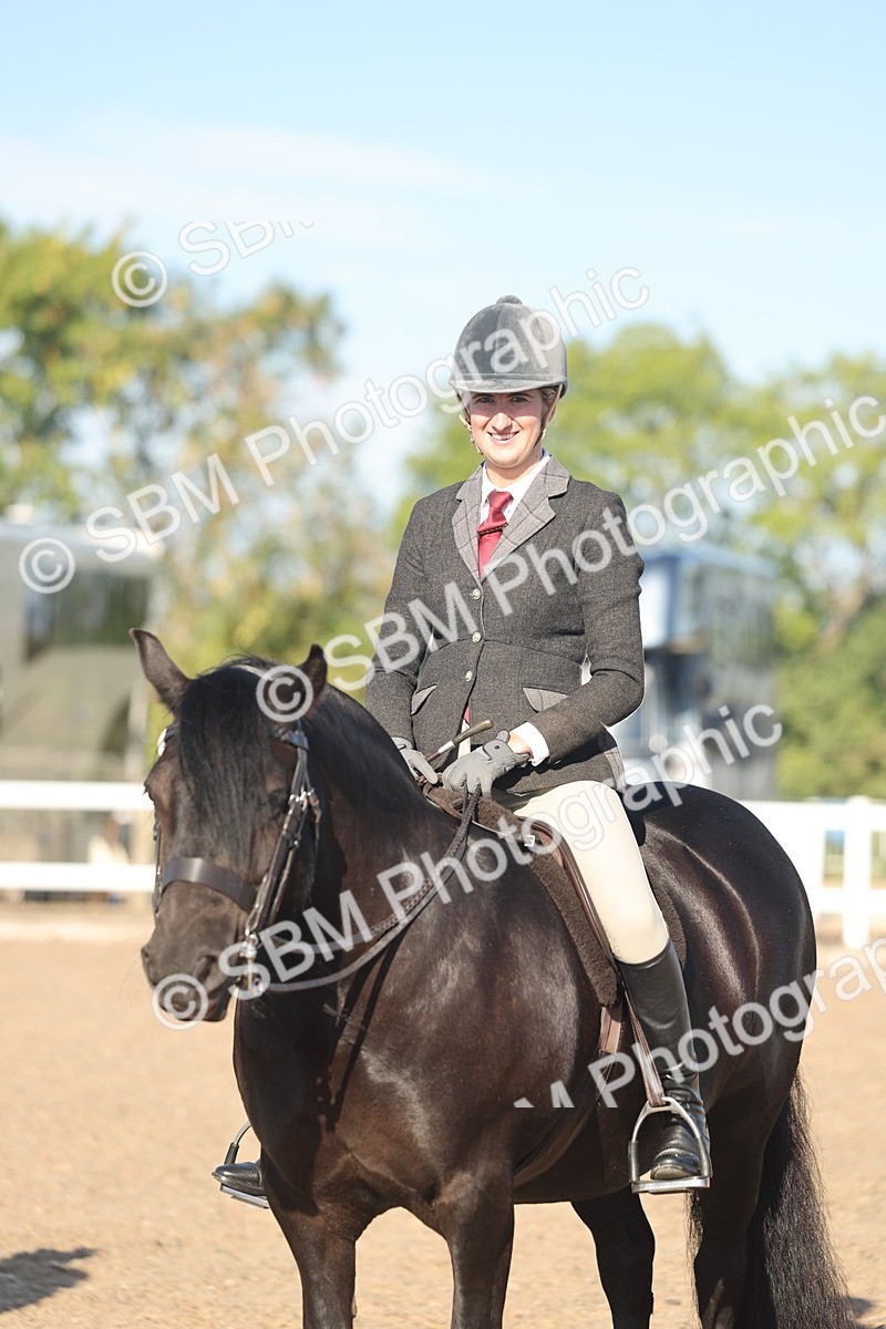SBM_11074 - Class 302 - Ridden M&M Large Breeds