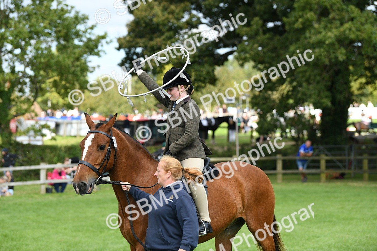 SBM_46871 - S12 - Family Horse & Pony