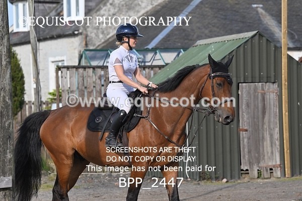 BPP_2447 - CLASS 4 Senior British Novice/ 90cm Open