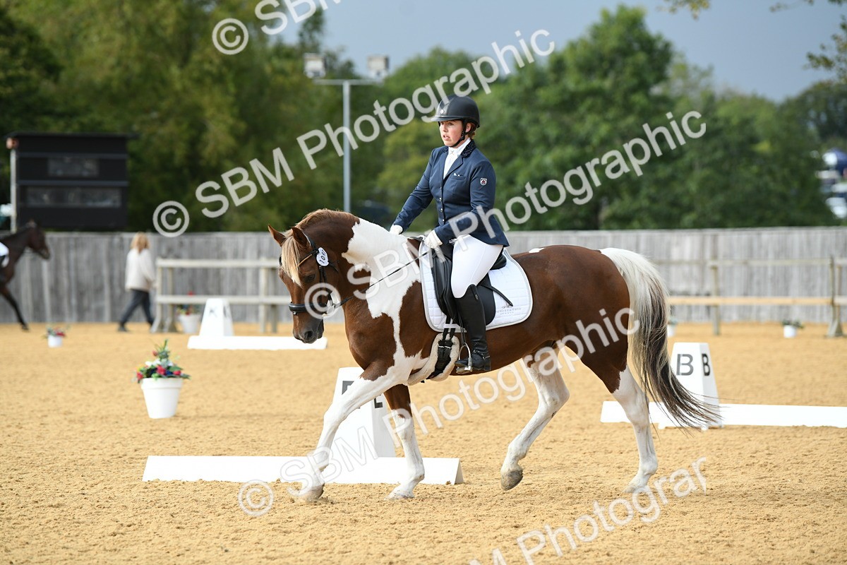 SBM_11057 - D28 Elementary Taster Elementary 42