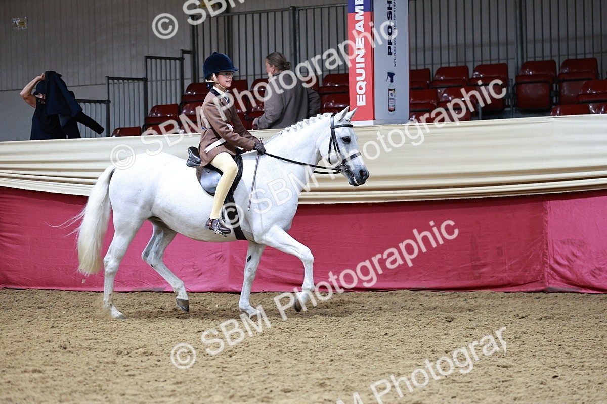 SBM_03087_Class 5a - Area - Ridden Veteran - Vicky Gutteridge