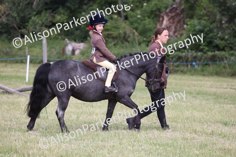20260614-0808 - Class 20 - Beginners Working Hunter Pony