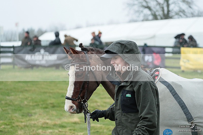 PtP 100324 8 - Pytchley with Woodland Point-to-Point Guilsborough 10/03/24
