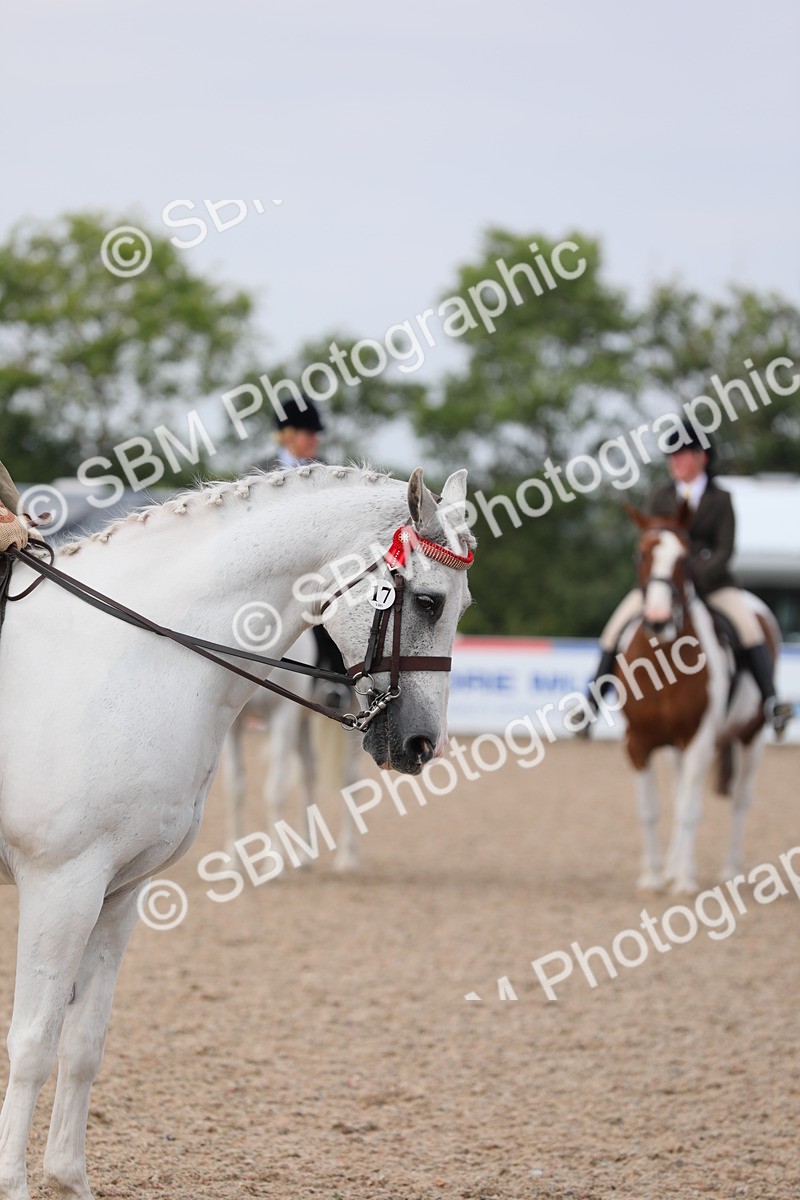 SBM_13405 - Class 308 Ridden Coloured Horse