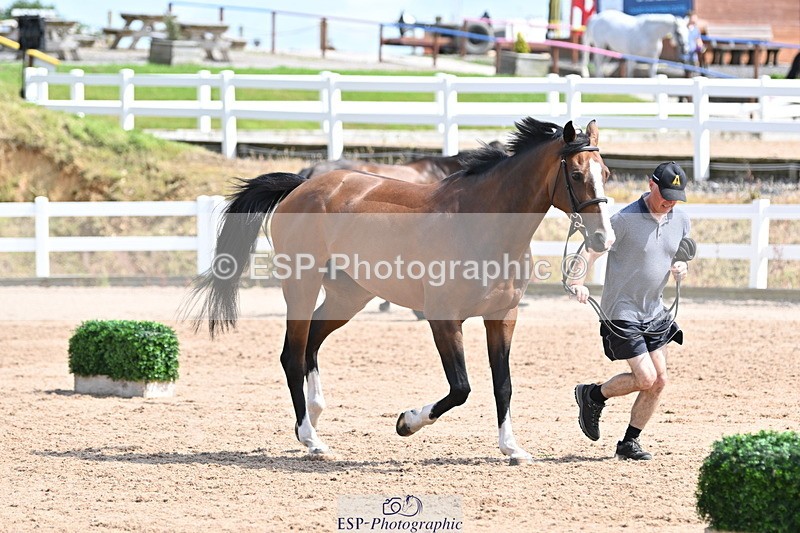 240717A-153428-02892 - Trot Up 3pm to 4pm