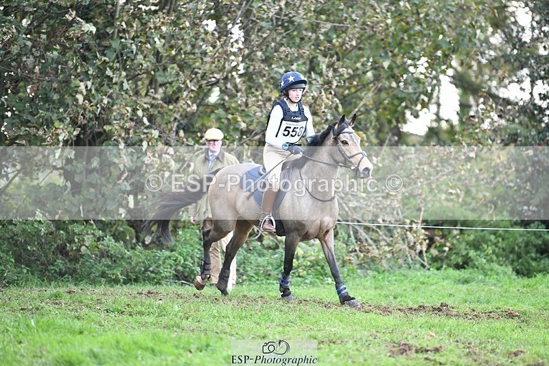 231021-160955-20742 - 558-BATHLEYHILLS.GOLDEN.SPRAY-Cleo.Whitbread-SC+XC