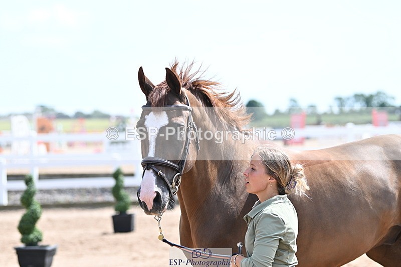 240717A-152718-02839 - Trot Up 3pm to 4pm