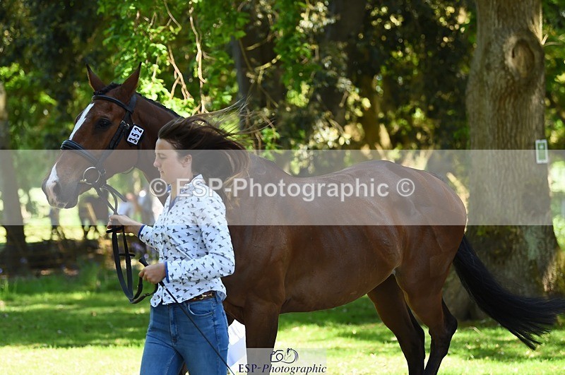 230524-153004-00311 - 352-TEQUILA_SUNRISE-Pippa_Taylor-WEDTrotUp+DR