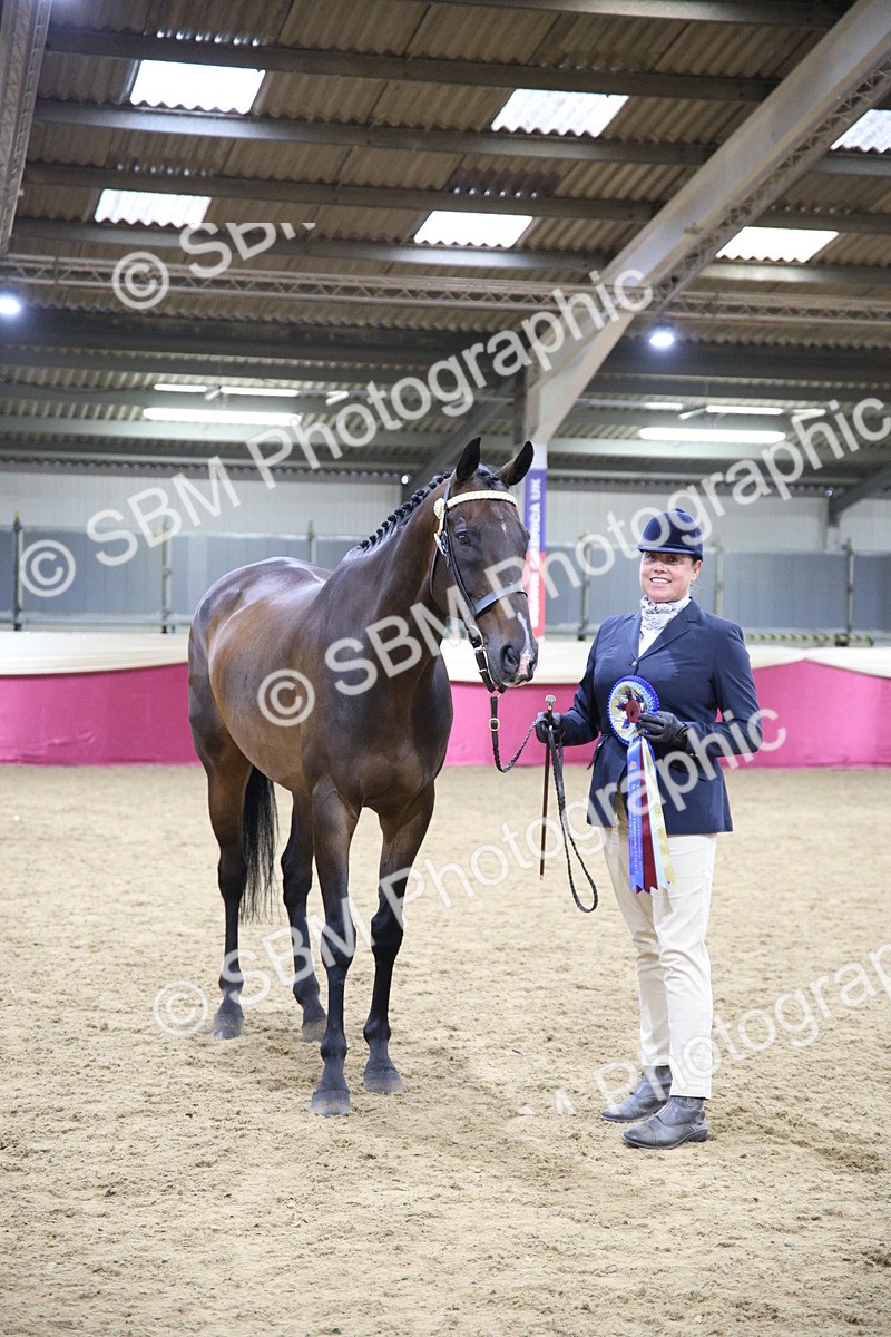 SBM_18840 - Class E IH Horse Champ
