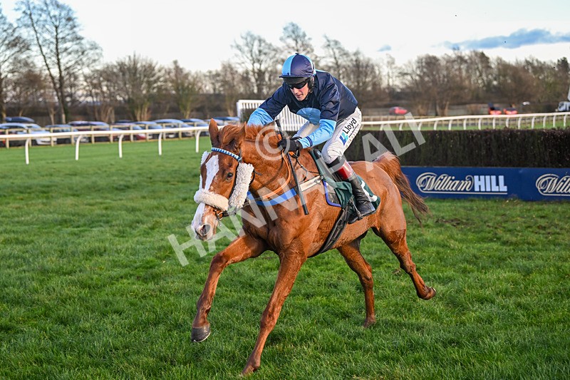 281224-Race 5-Poetry Man-4825 - Race 5